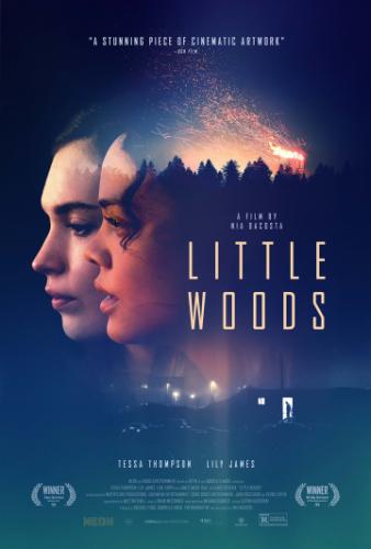 ����� ����� / Little Woods (2018)
