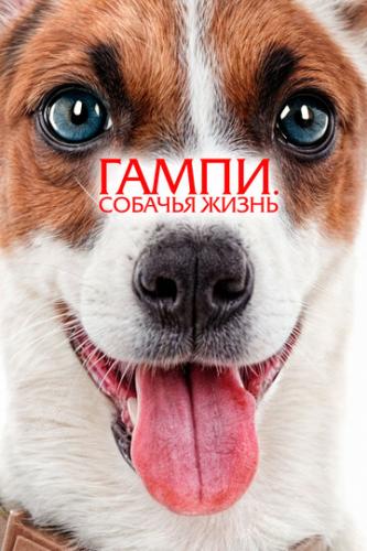  .   / Gump - Jsme dvojka (2024)