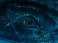 ������: ����� � �����