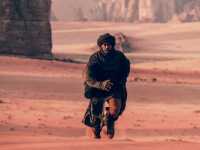 ���� �������