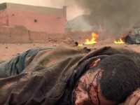 ���� �����